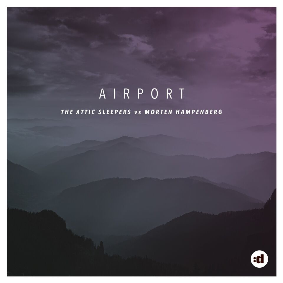 attic sleepers-airport