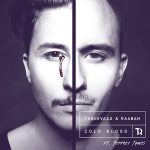 Tungevaag & Raaban – Cold Blood ft. Jeffrey James
