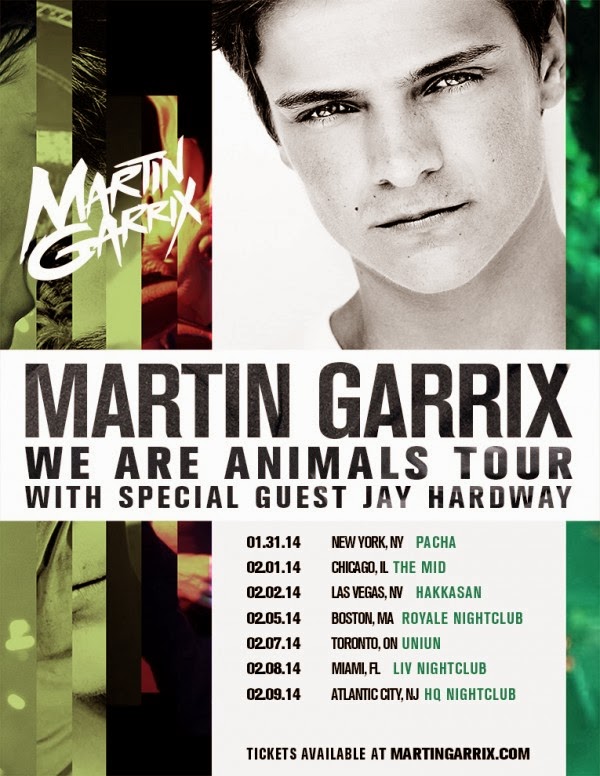 garrix-tour