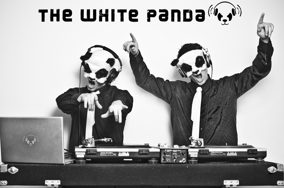 the-white-panda