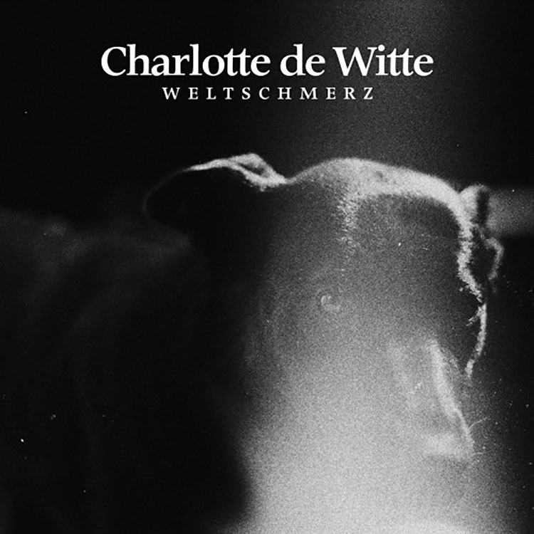 charlotte de witte