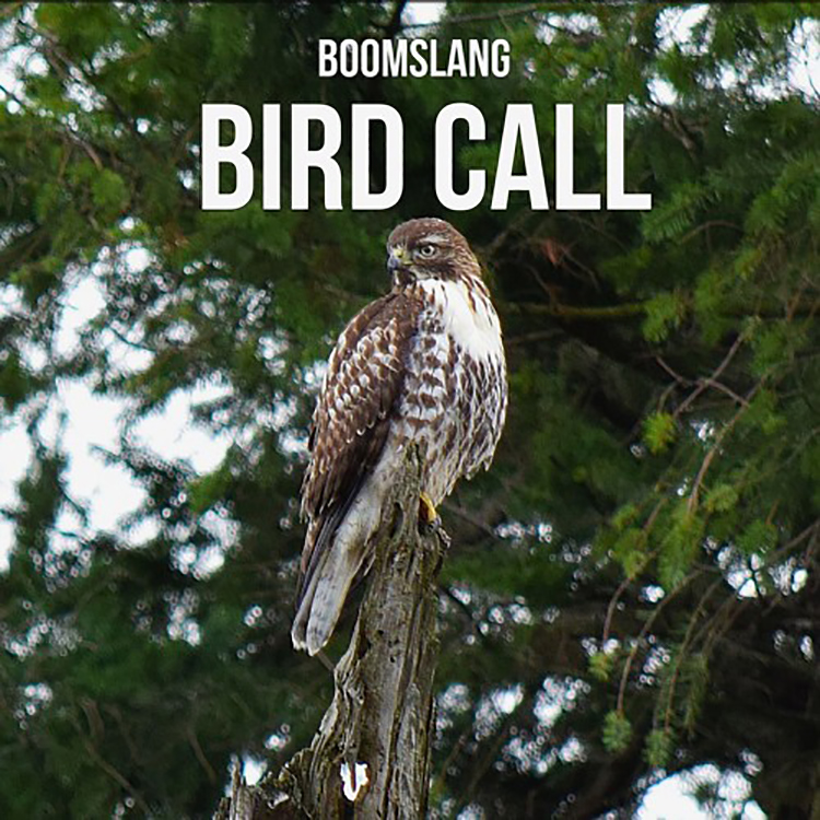 boomslang- bird call