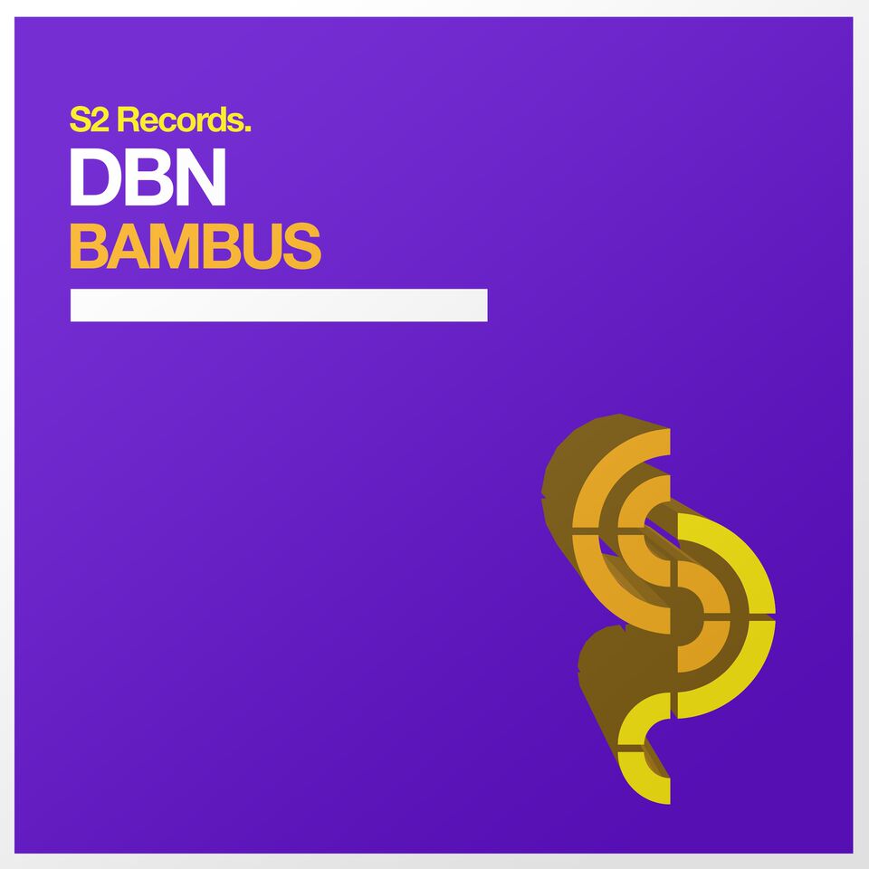 dbn- bambus