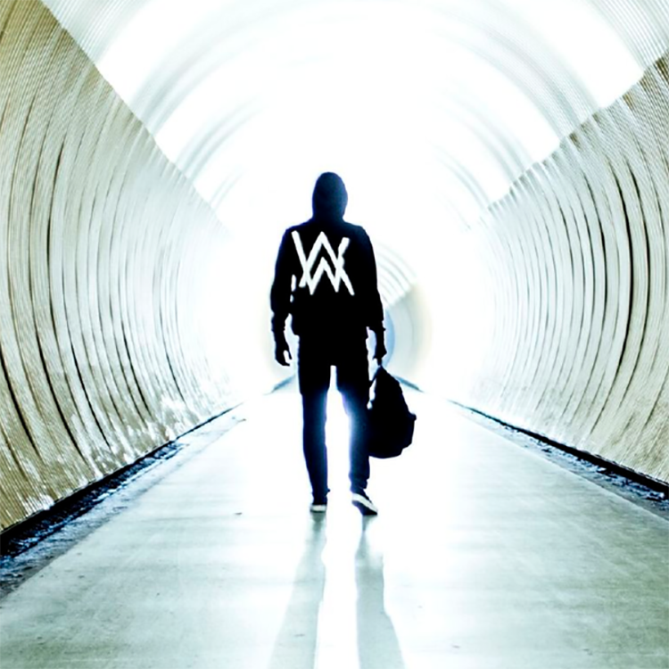 alan walker-interview