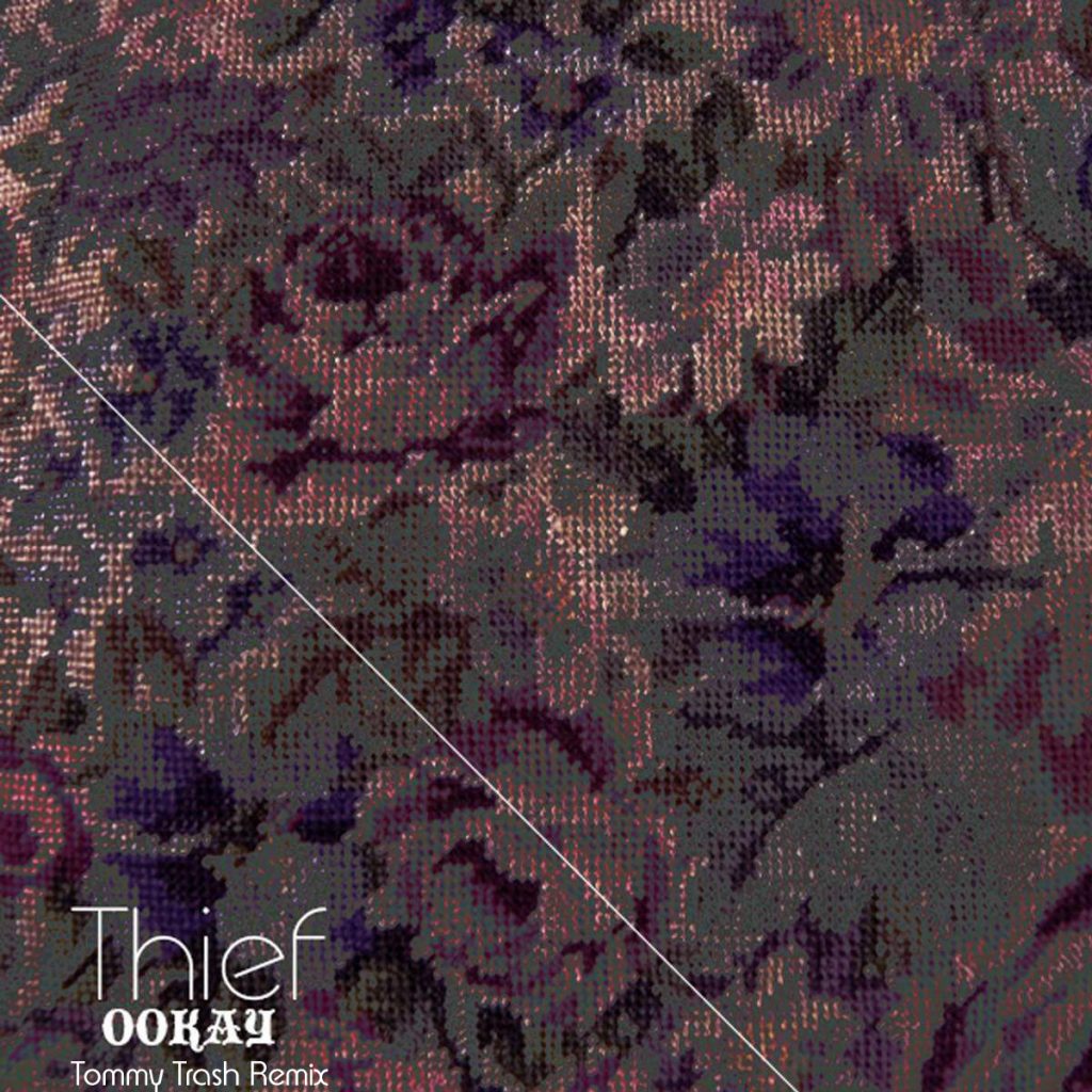tn-thief-ookay-cover1200x1200